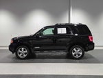 2008 Ford Escape Limited